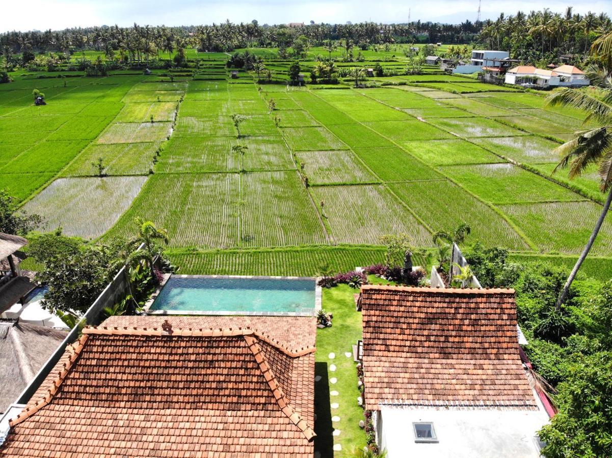 Incredible View, Traditional Villa, 3BR, Ubud Esterno foto
